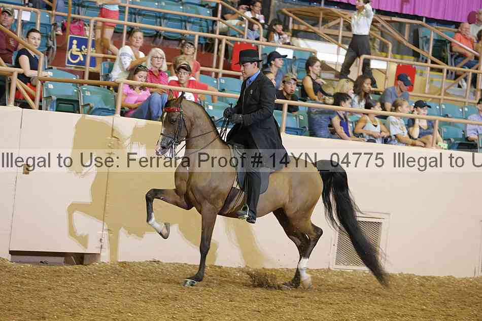 Proof 14yn_04775