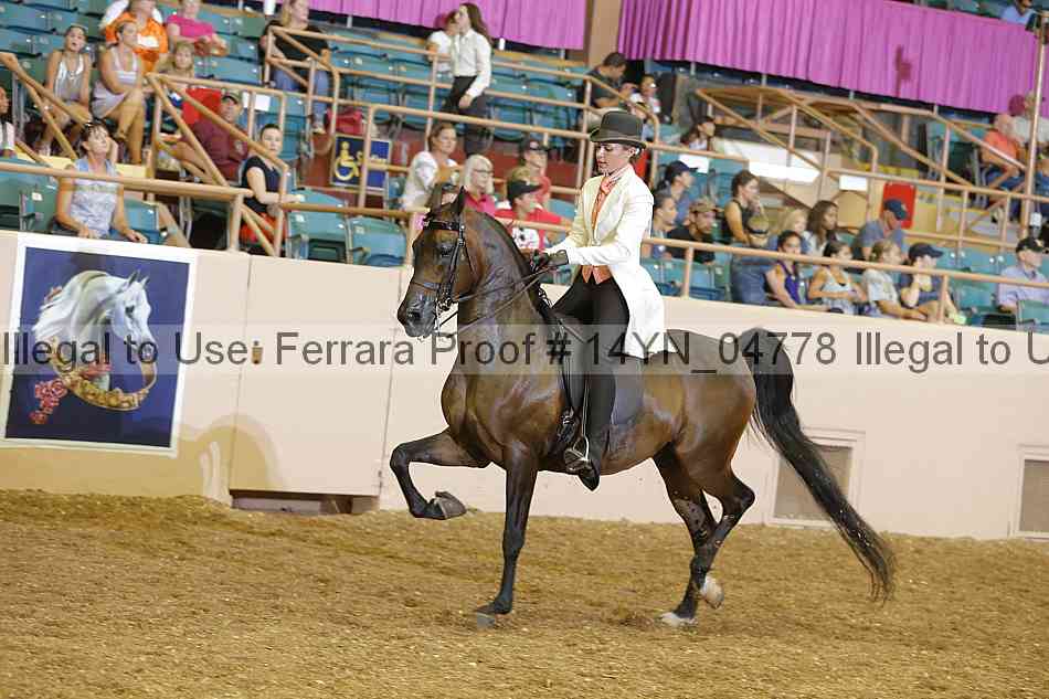 Proof 14yn_04778