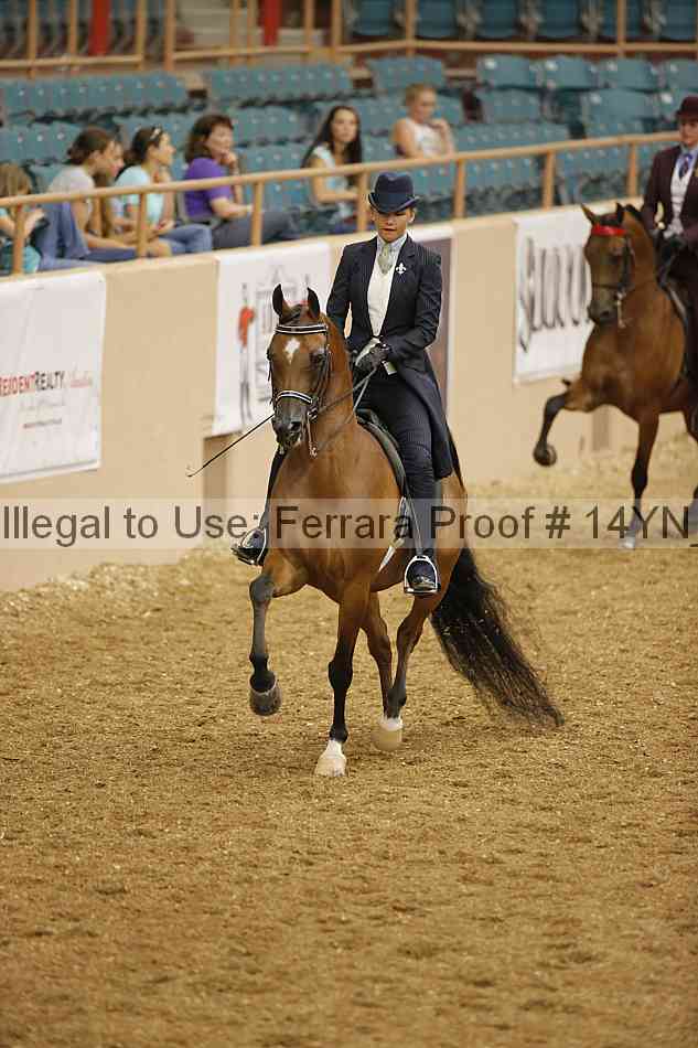 Proof 14yn_04779