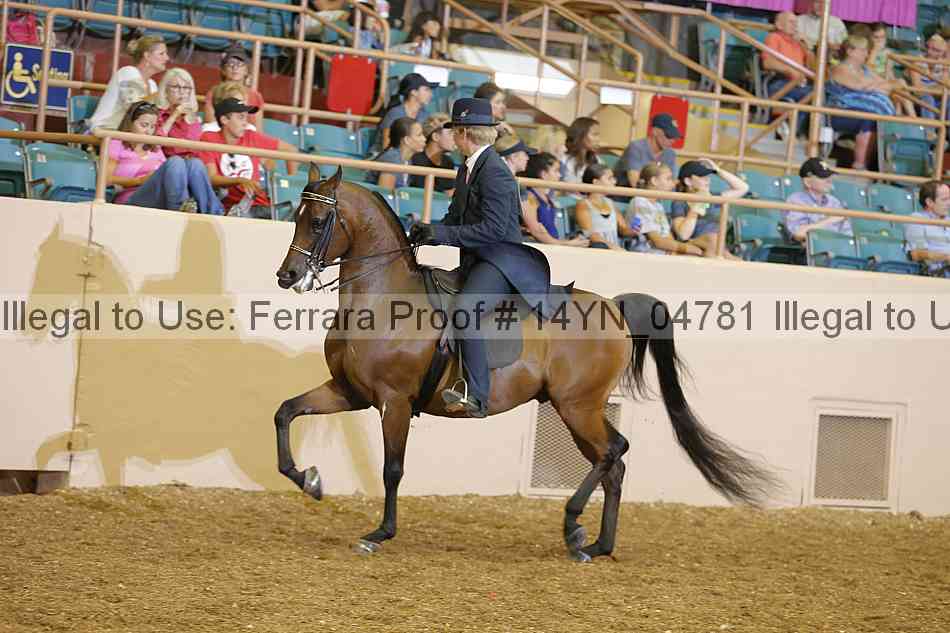 Proof 14yn_04781