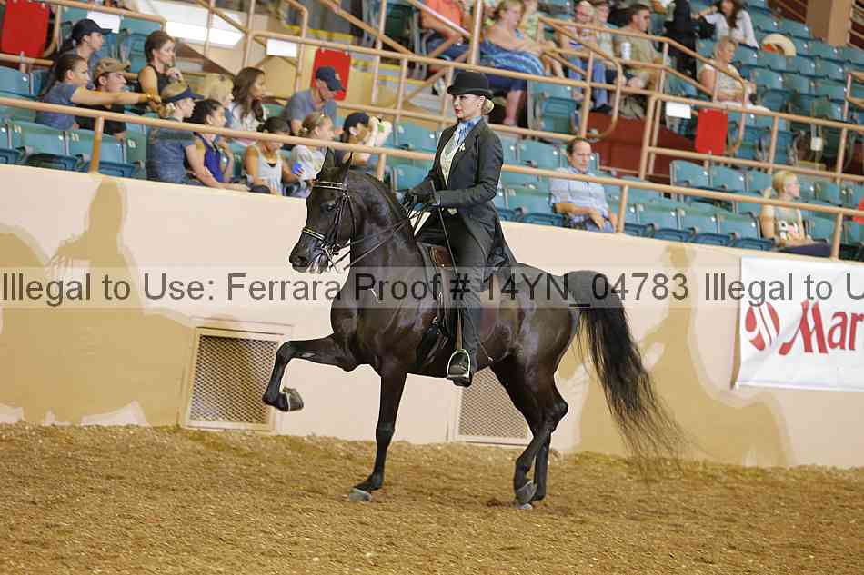 Proof 14yn_04783