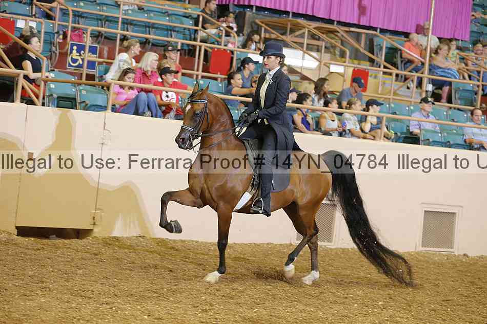 Proof 14yn_04784