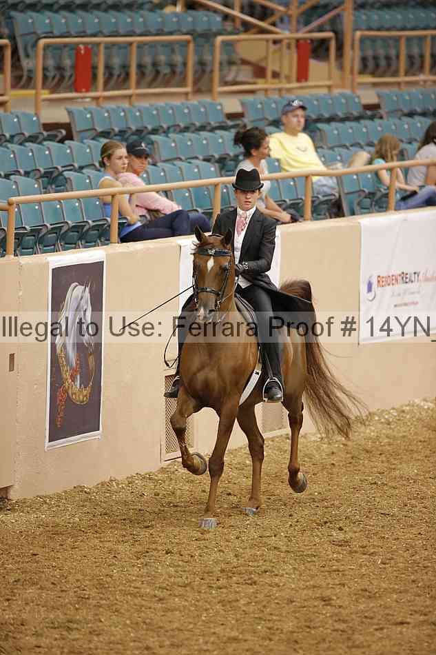 Proof 14yn_04789
