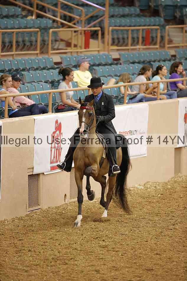 Proof 14yn_04791