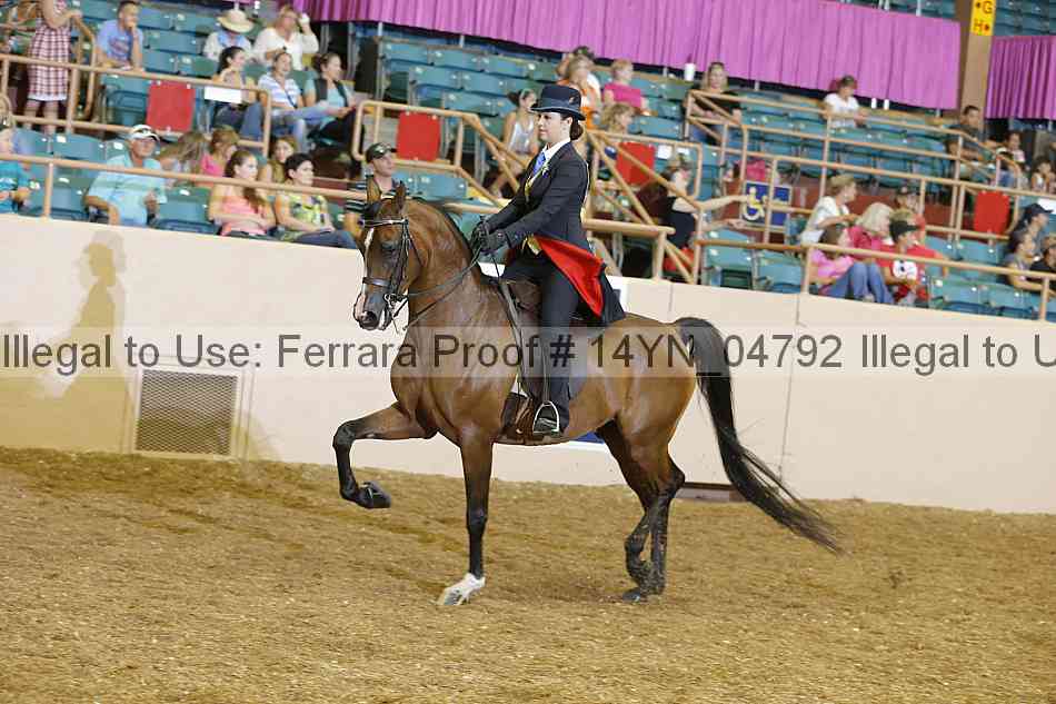 Proof 14yn_04792