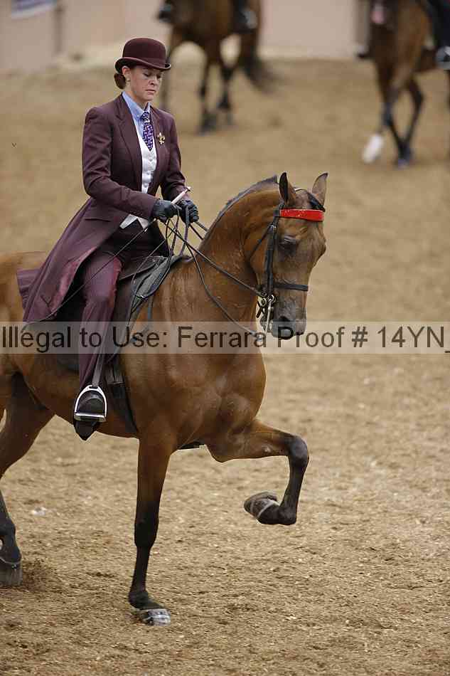Proof 14yn_04797