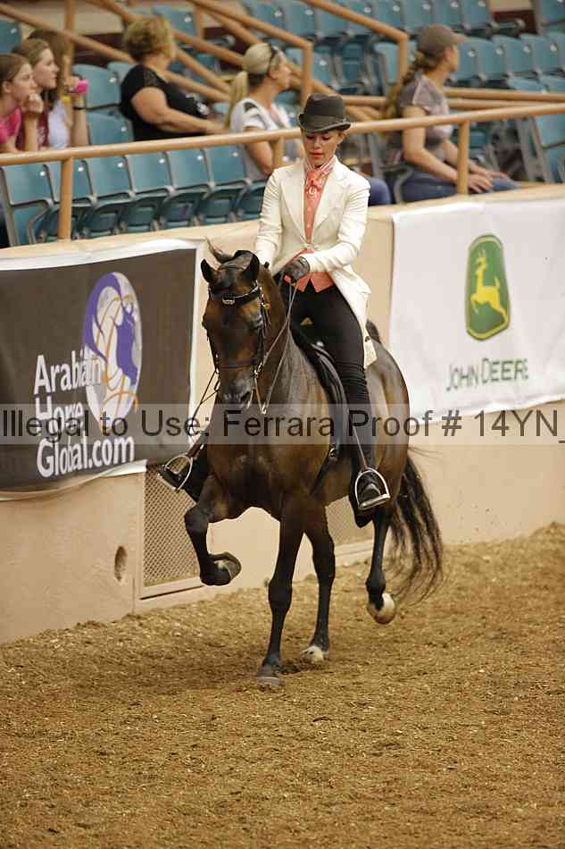 Proof 14yn_04801