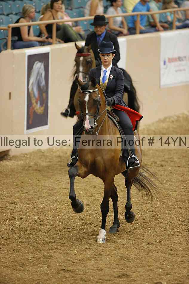 Proof 14yn_04803