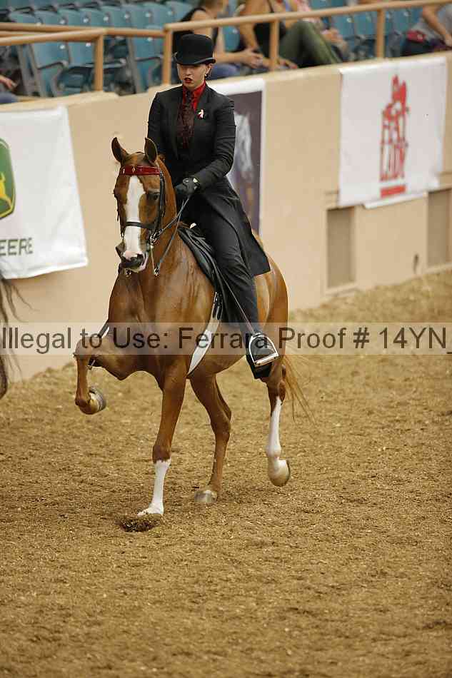 Proof 14yn_04804