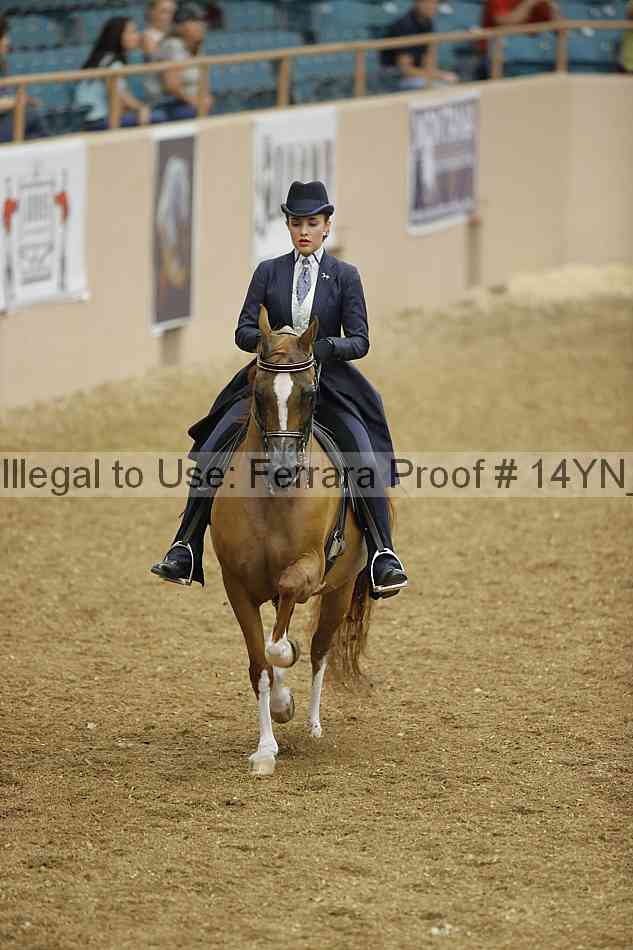 Proof 14yn_04805