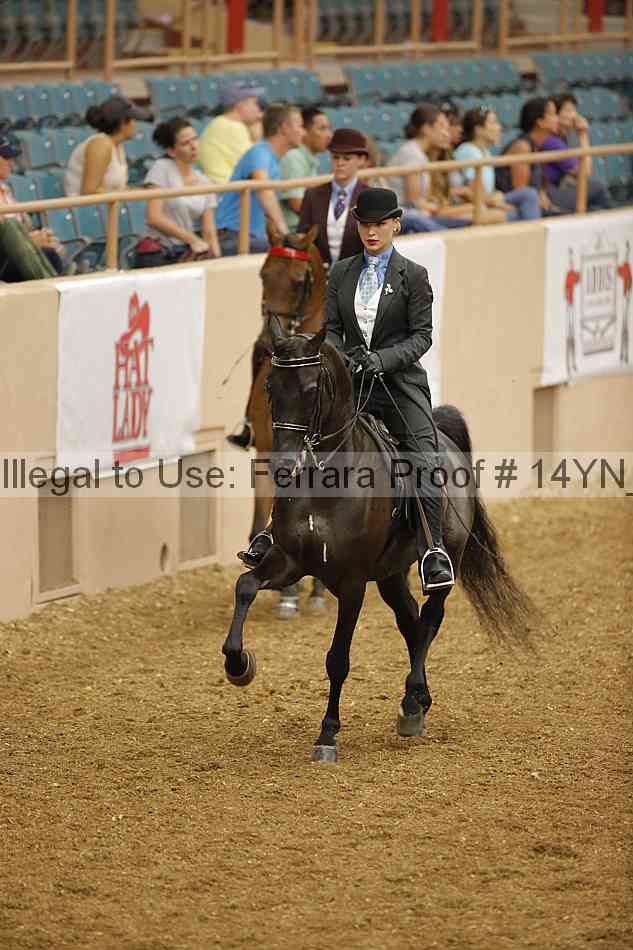 Proof 14yn_04806