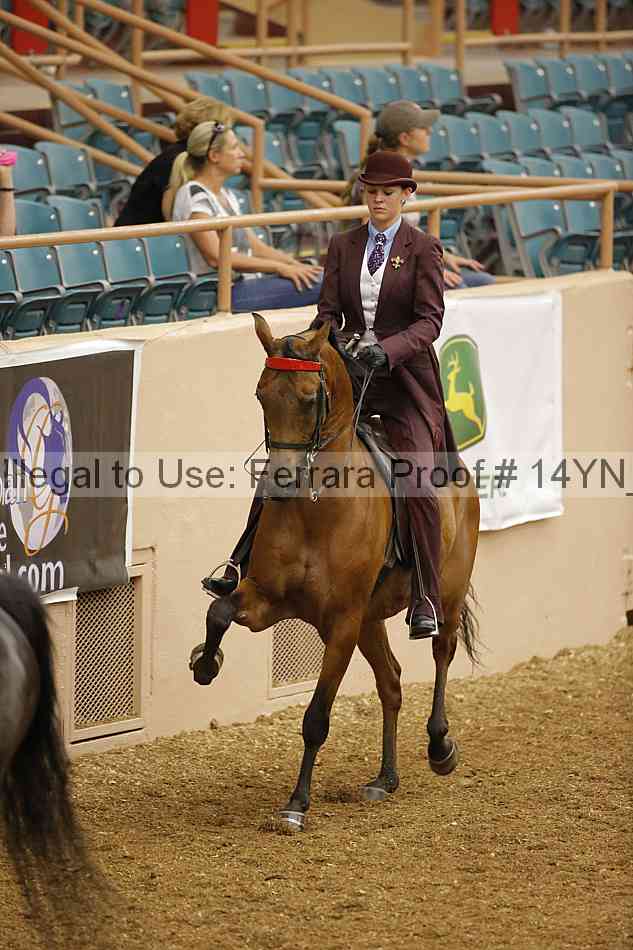 Proof 14yn_04807