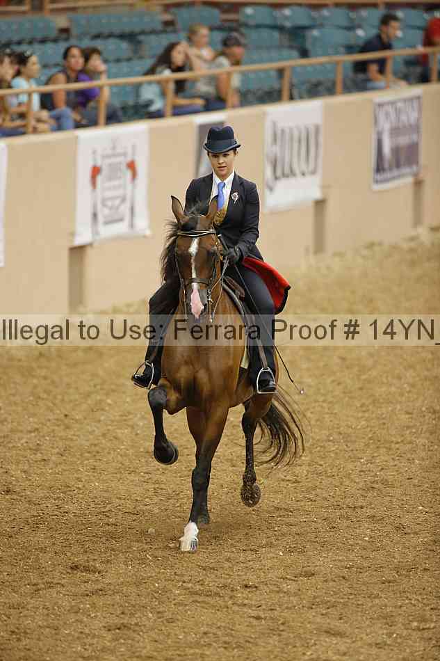 Proof 14yn_04808