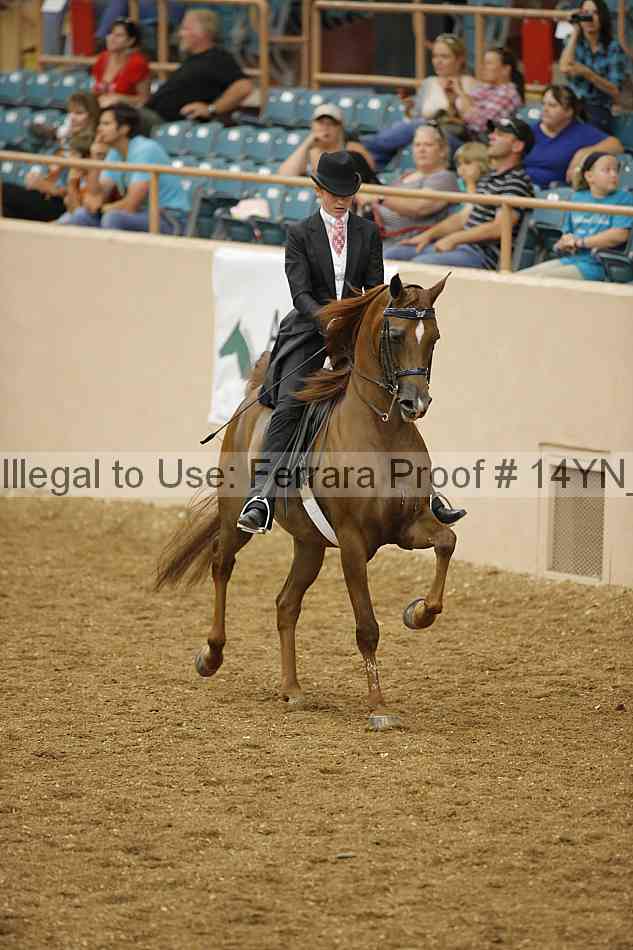 Proof 14yn_04809