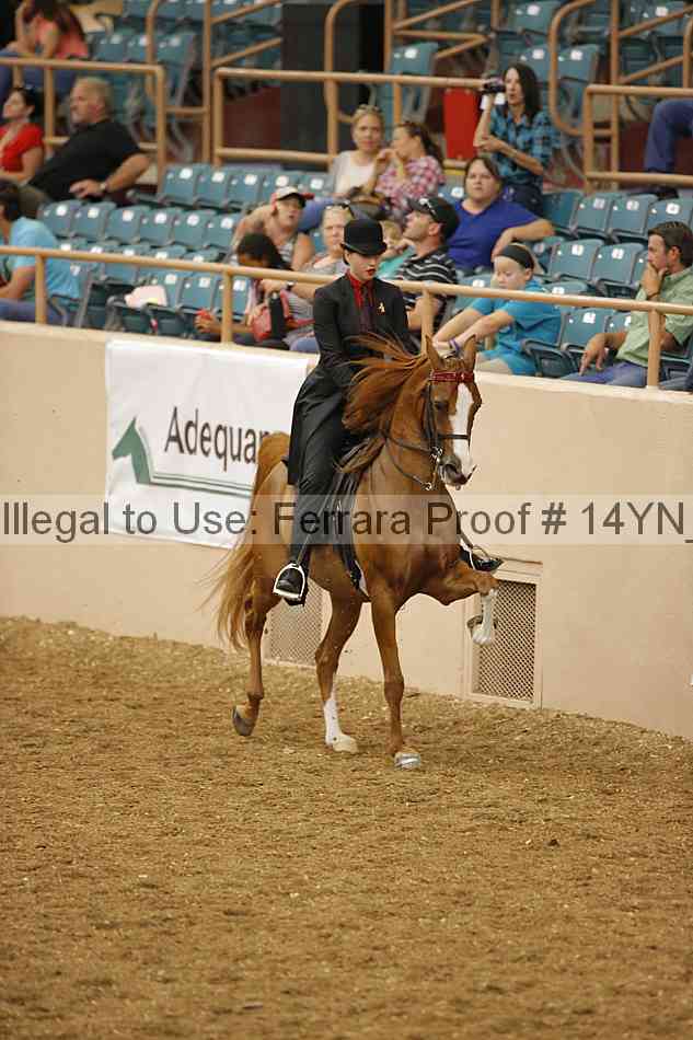 Proof 14yn_04810