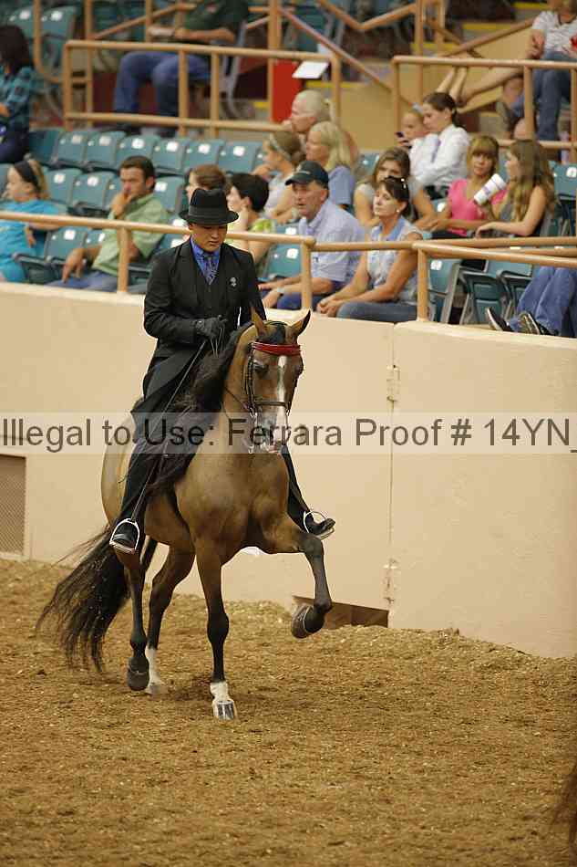 Proof 14yn_04815
