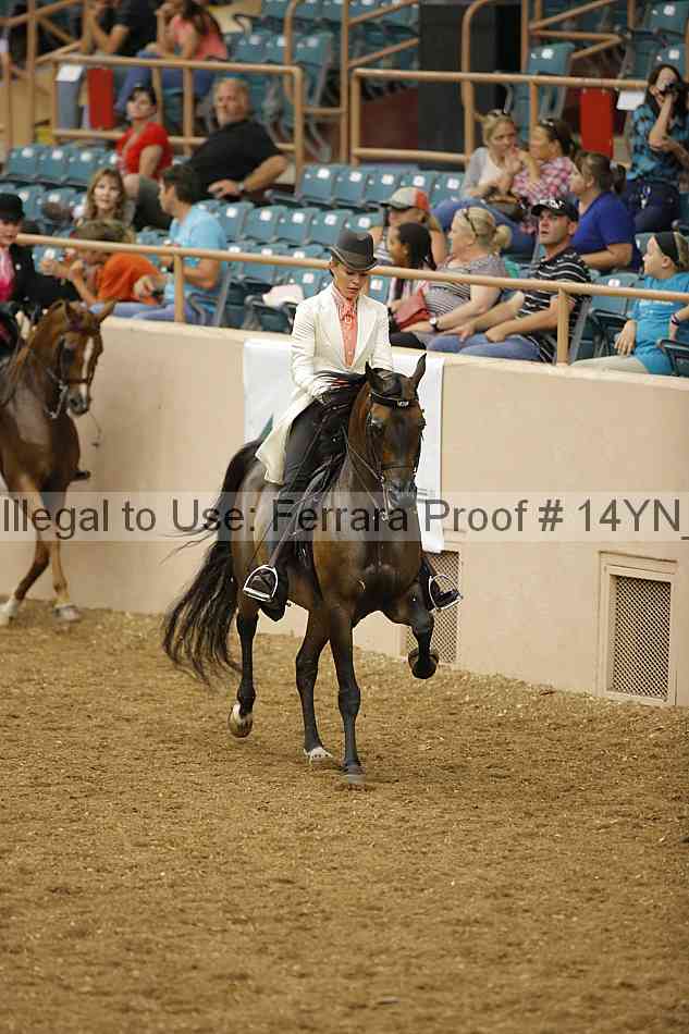 Proof 14yn_04819