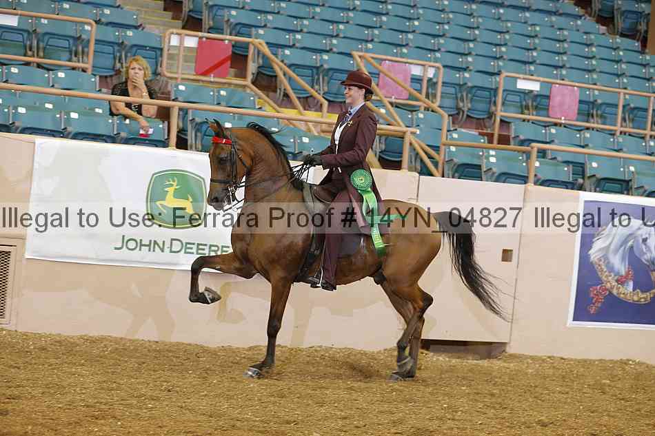 Proof 14yn_04827
