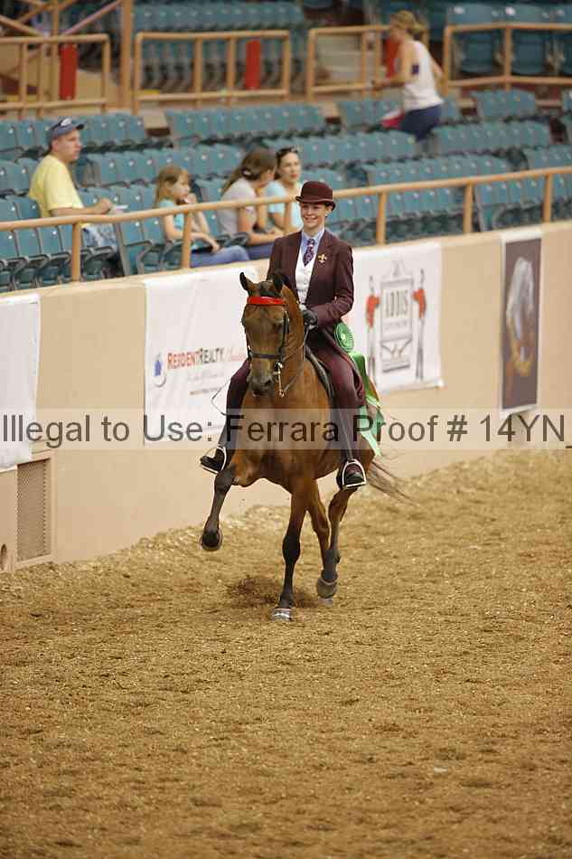 Proof 14yn_04828