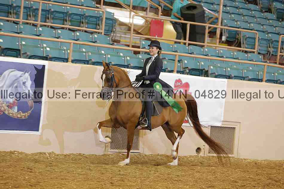 Proof 14yn_04829
