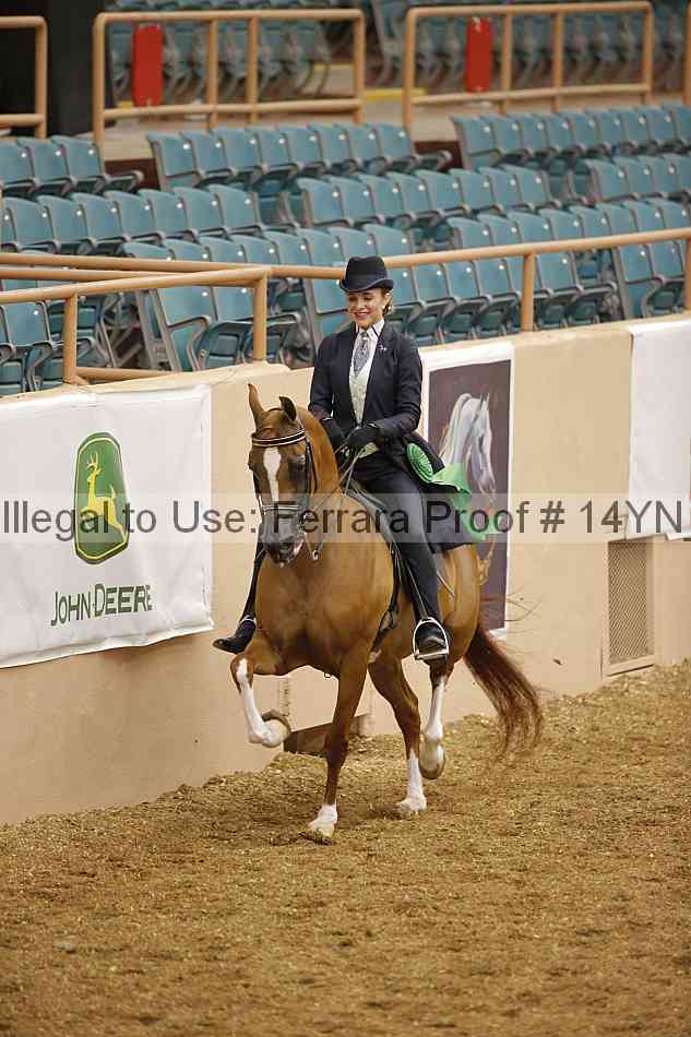 Proof 14yn_04831