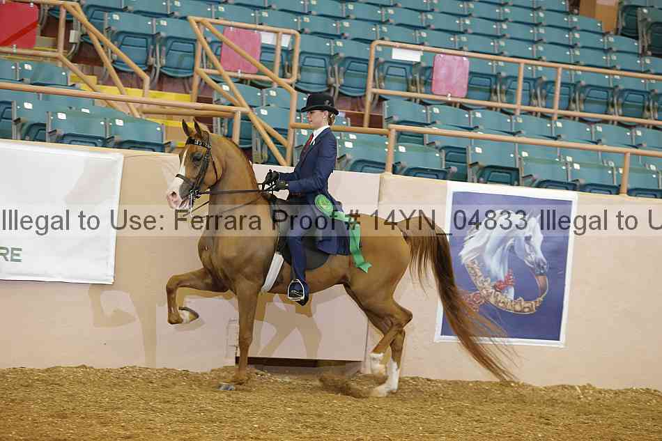 Proof 14yn_04833