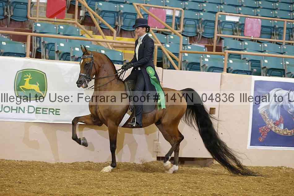 Proof 14yn_04836