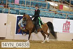 14yn_04838 proof
