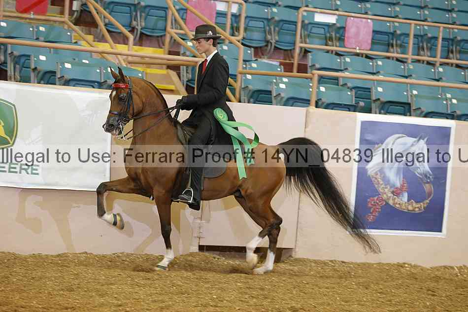 Proof 14yn_04839