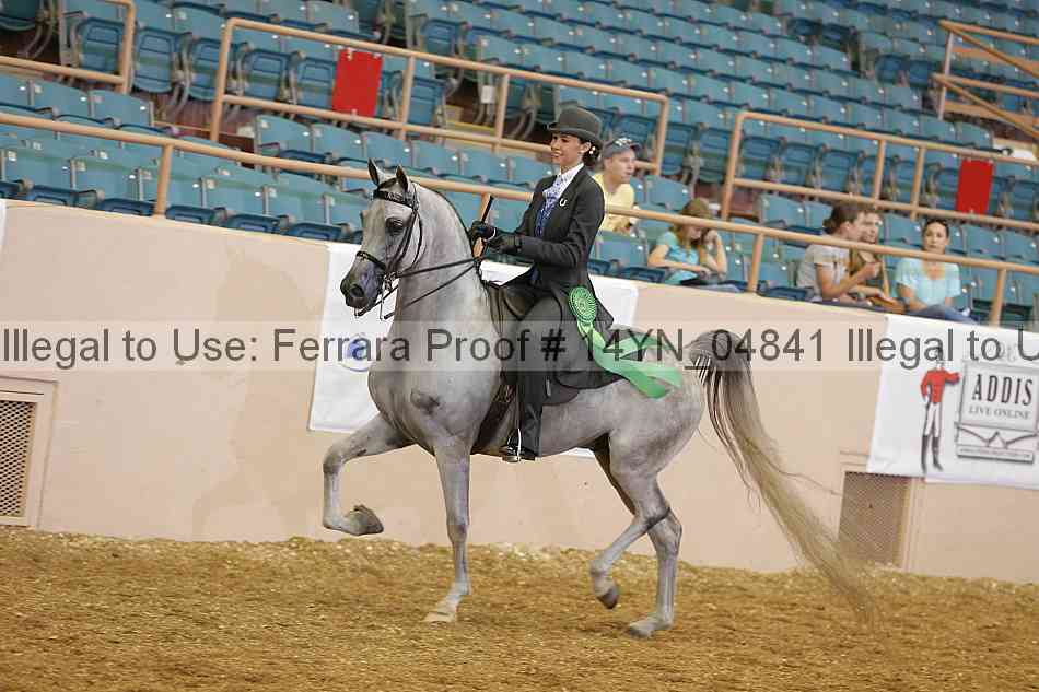 Proof 14yn_04841