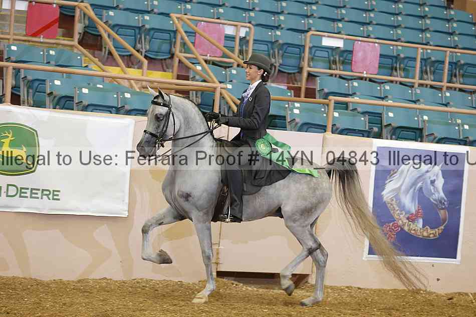 Proof 14yn_04843