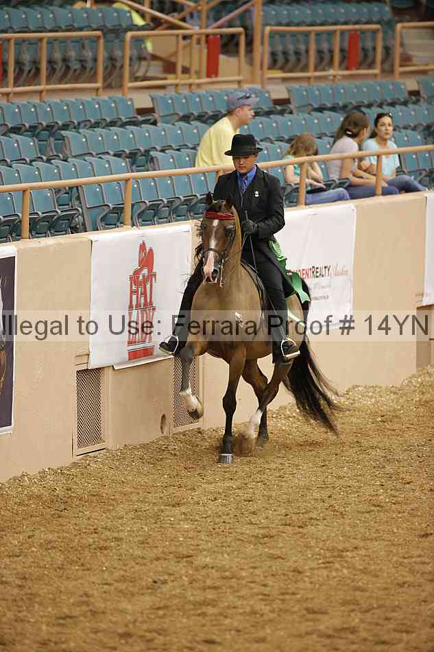 Proof 14yn_04846