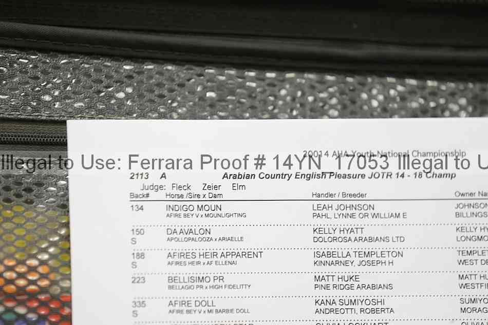 Proof 14yn_17053