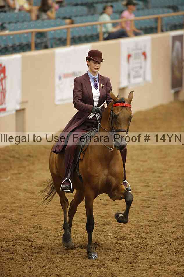 Proof 14yn_17082