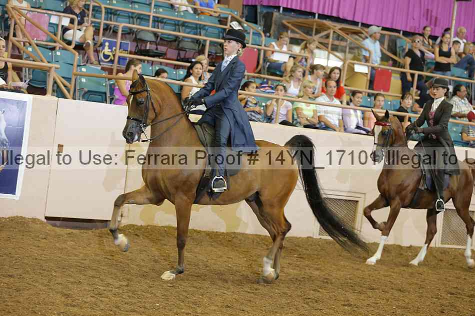 Proof 14yn_17101