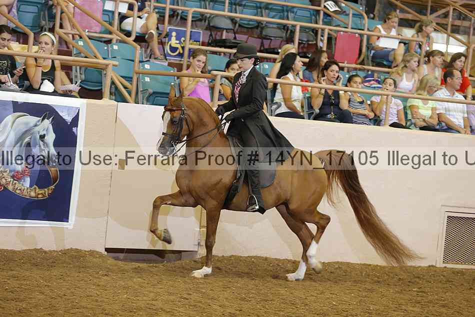 Proof 14yn_17105