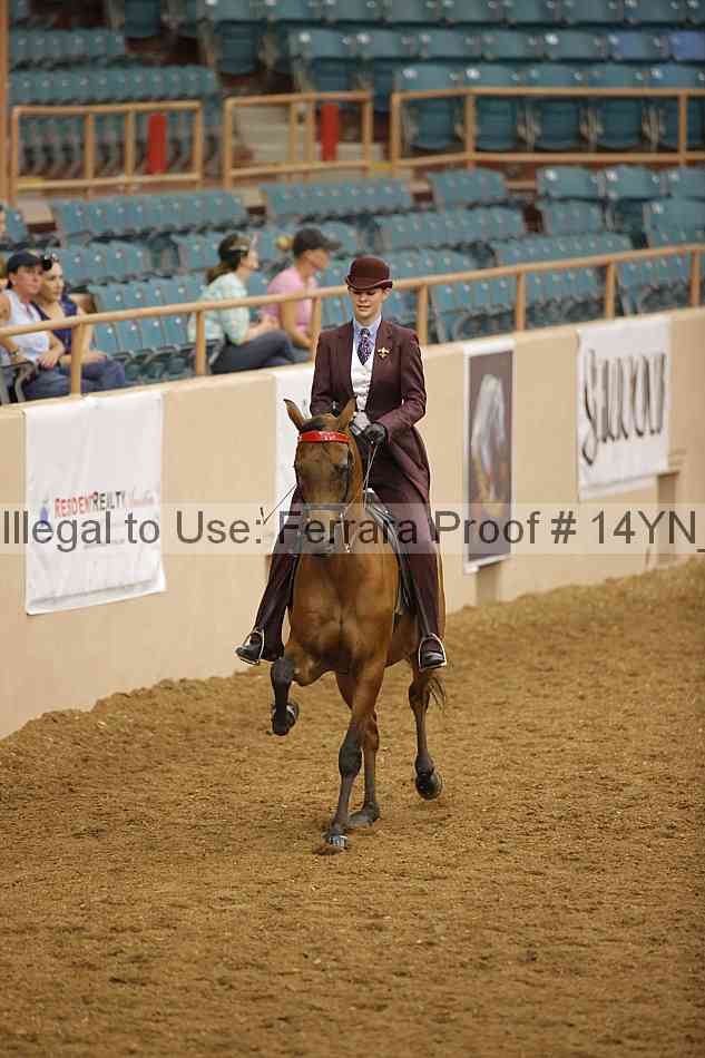 Proof 14yn_17106