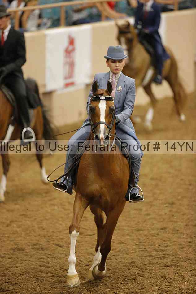 Proof 14yn_17185