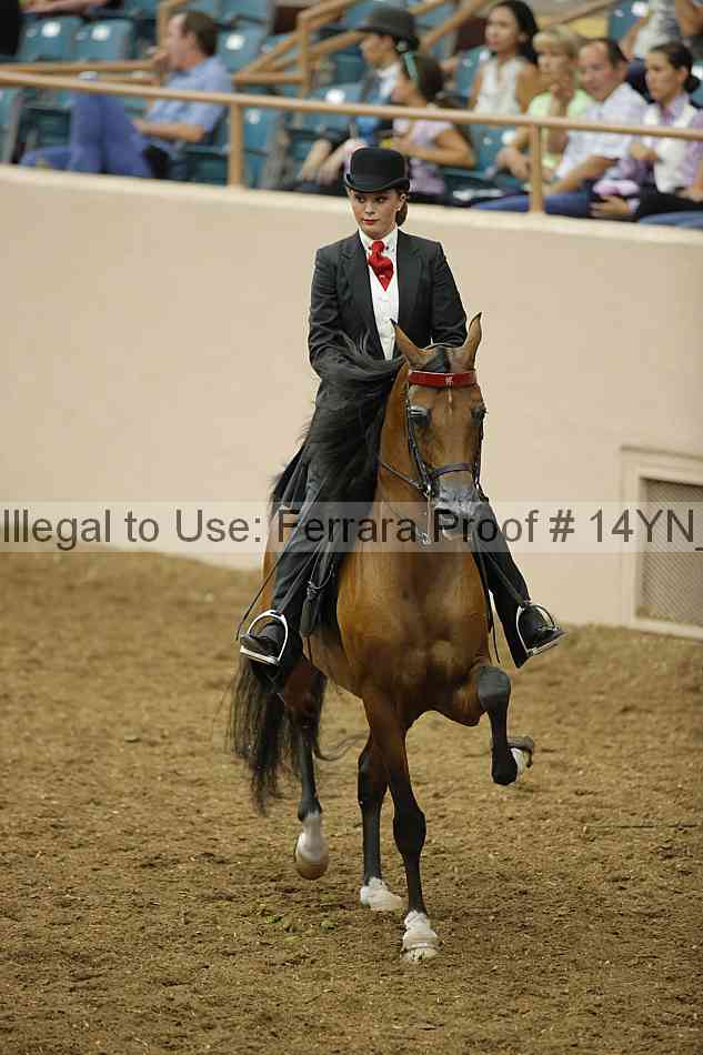 Proof 14yn_17195