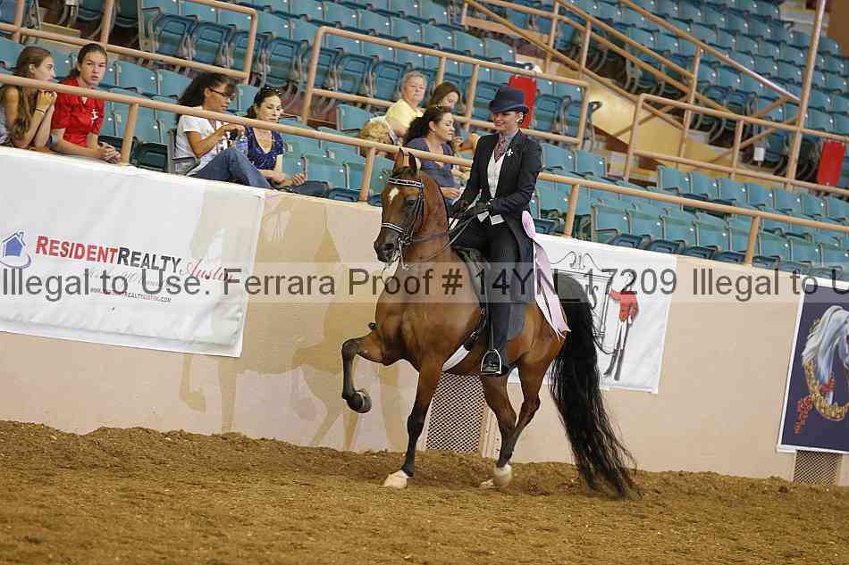 Proof 14yn_17209