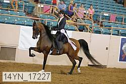 14yn_17227 proof