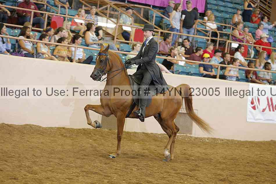 Proof 14yn_23005
