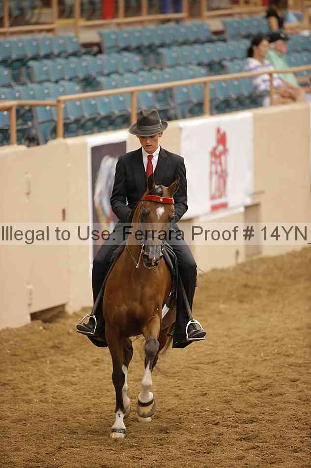 Proof 14yn_23008