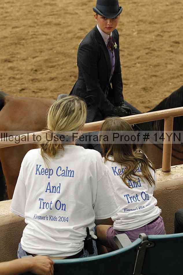 Proof 14yn_23038