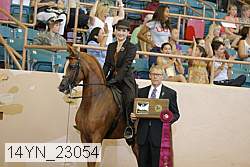 14yn_23054 proof