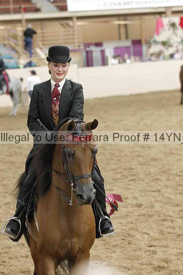 Proof 14yn_23093