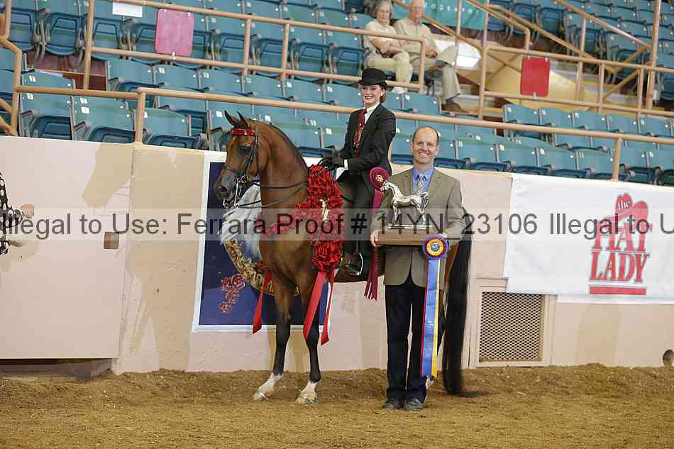 Proof 14yn_23106