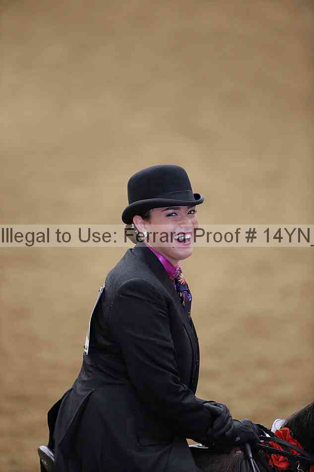 Proof 14yn_23129