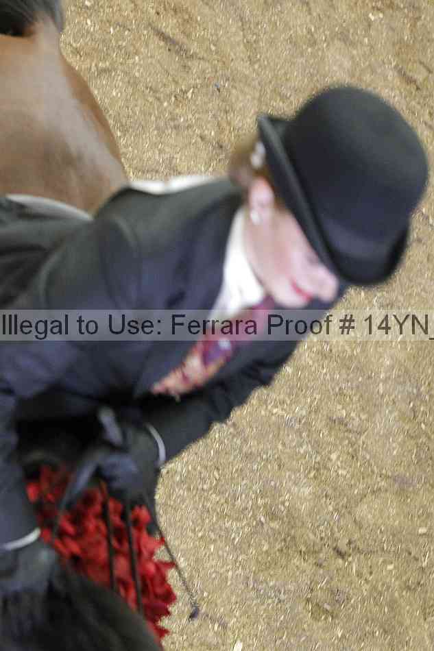 Proof 14yn_23218