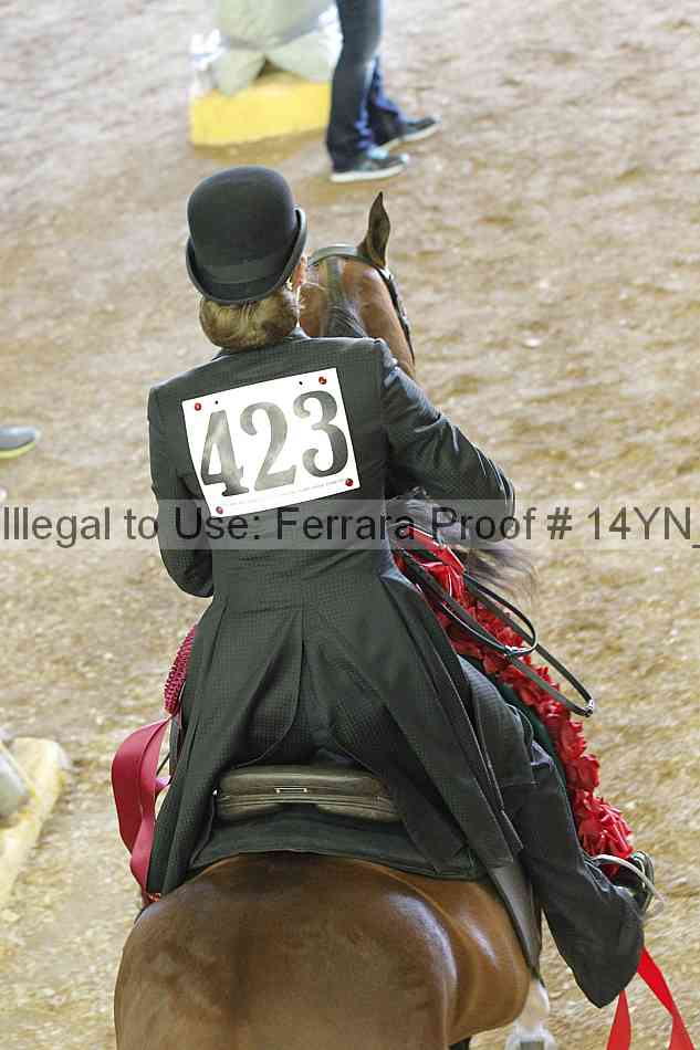 Proof 14yn_23224